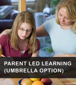 parent led umbrella